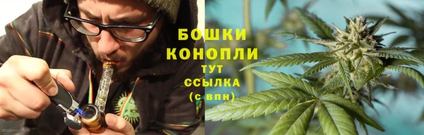 молекула духа Заволжье