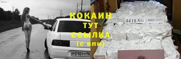 молекула духа Заволжье