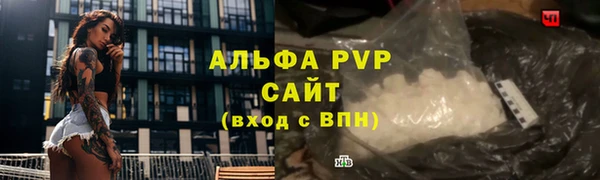 молекула духа Заволжье