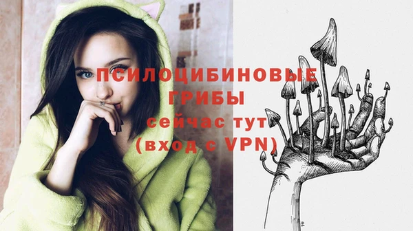 MDMA Зеленокумск
